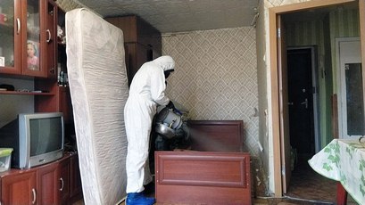 Как избавиться от клопов в квартире?